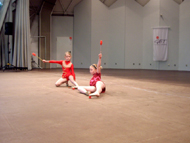 TSG 2012 RSG-Gruppe