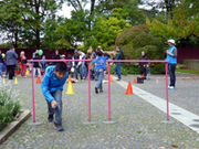 WKT 2014