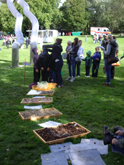 WKT 2011