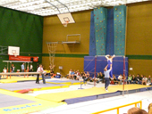 Landesturnfest 2008