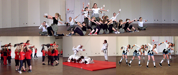 TSG 2011